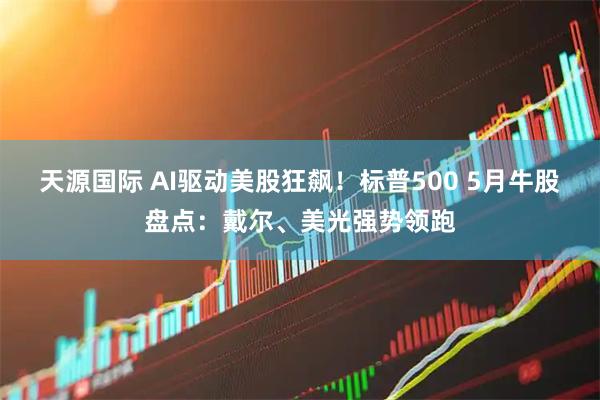 天源国际 AI驱动美股狂飙！标普500 5月牛股盘点：戴尔、美光强势领跑